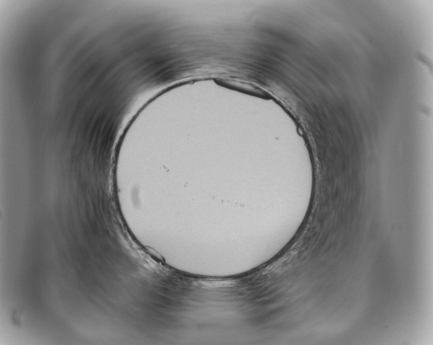 X0000097841296200804111055