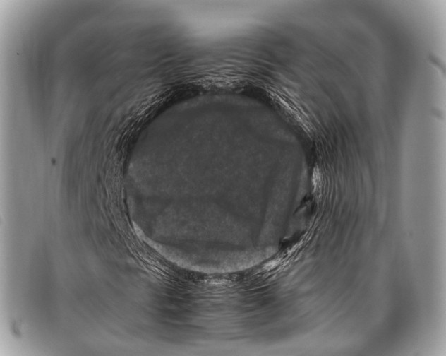 X0000097841297200804111054