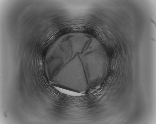 X0000097841298200804111054