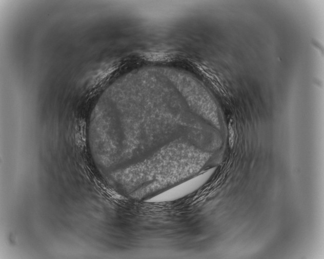 X0000097841301200804111054
