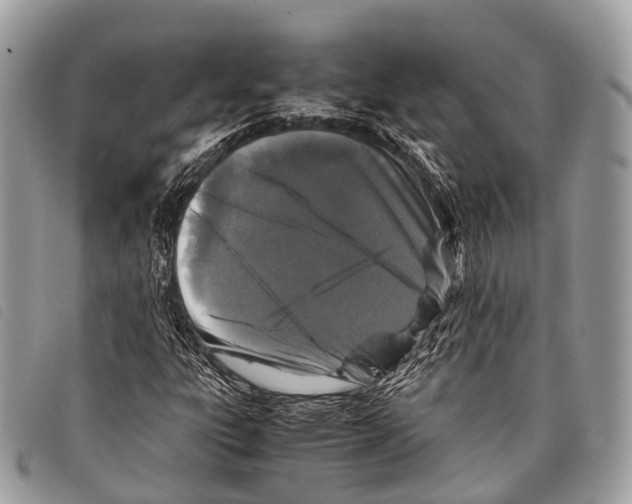 X0000097841303200804111054