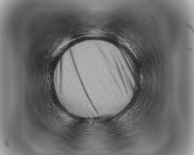 X0000097841304200804111054