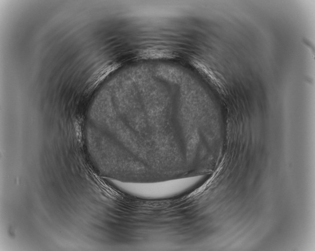 X0000097841305200804111054