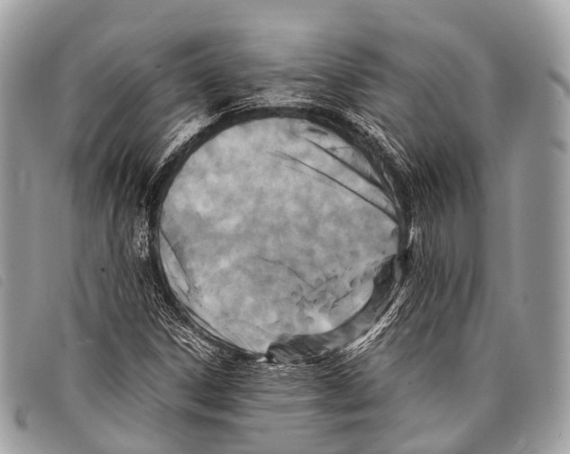 X0000097841306200804111054