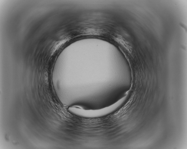 X0000097841307200804111054