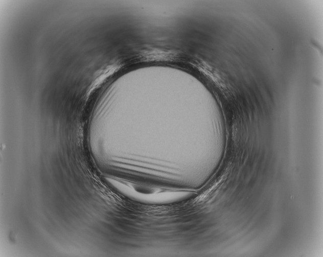 X0000097841309200804111054