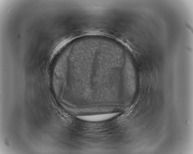 X0000097841311200804111054