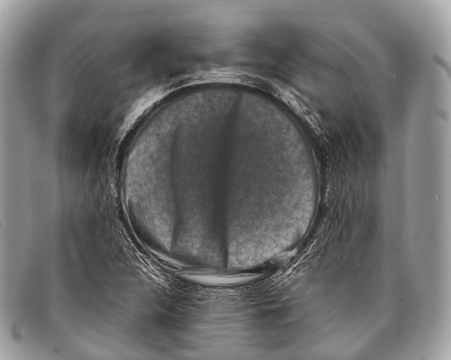 X0000097841312200804111054