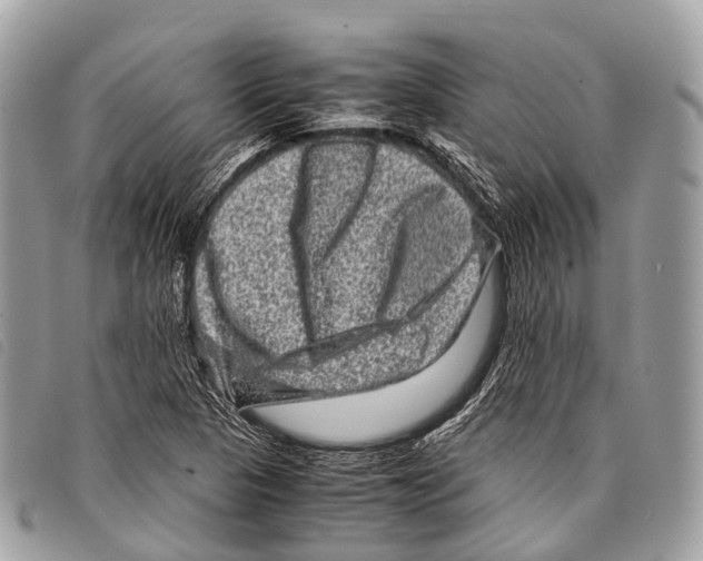 X0000097841313200804111054