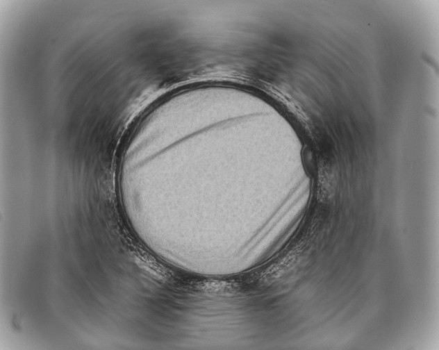 X0000097841316200804111054