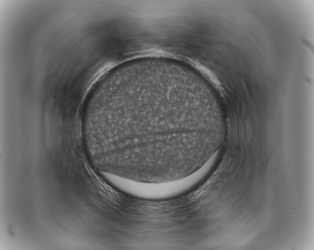 X0000097841318200804111054