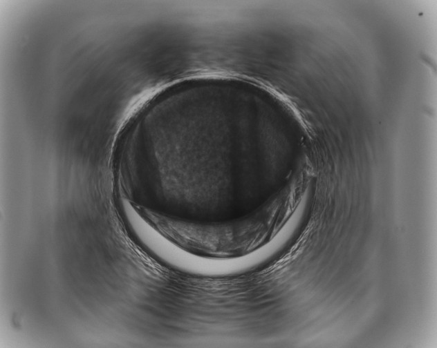X0000097841319200804111054