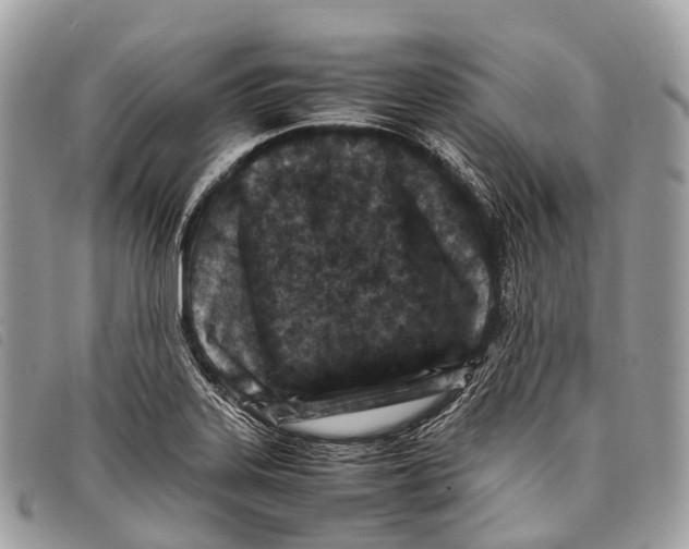 X0000097841323200804111054