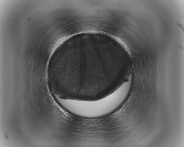 X0000097841327200804111054