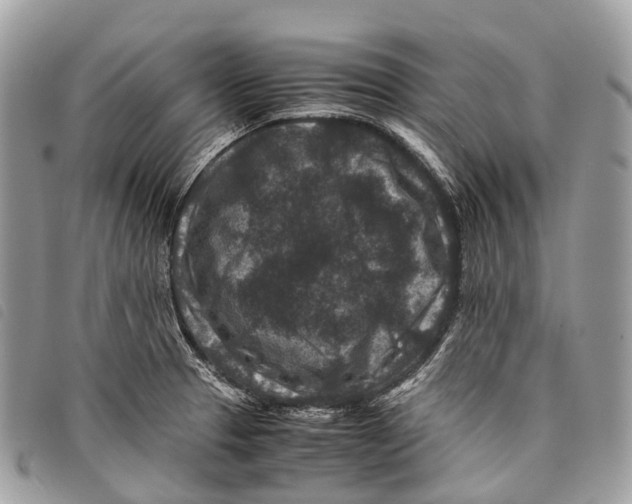 X0000097841329200804111054