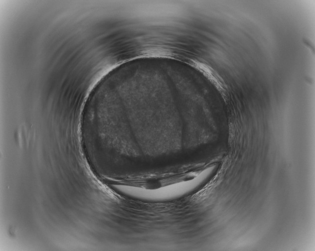 X0000097841331200804111054