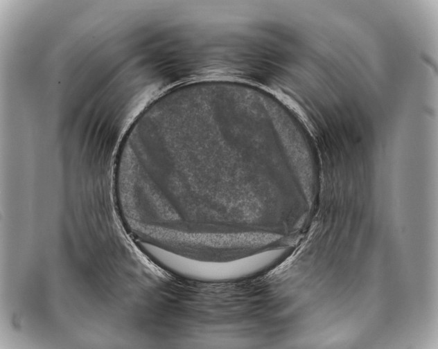 X0000097841333200804111054