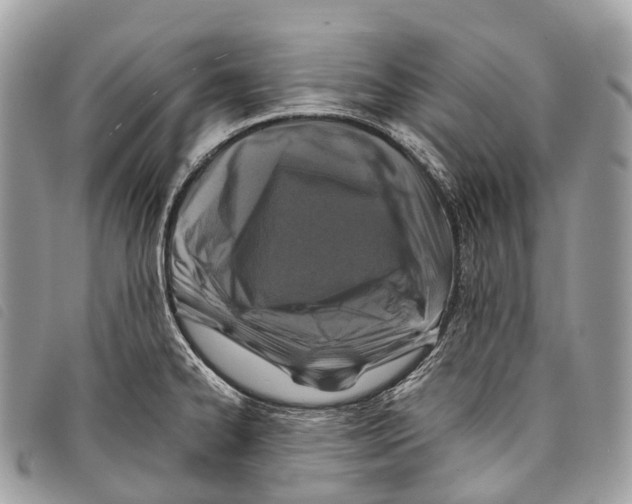 X0000097841334200804111054