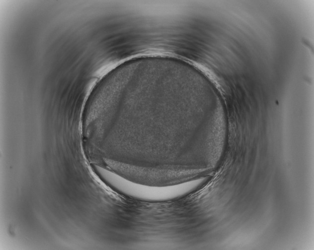 X0000097841335200804111055