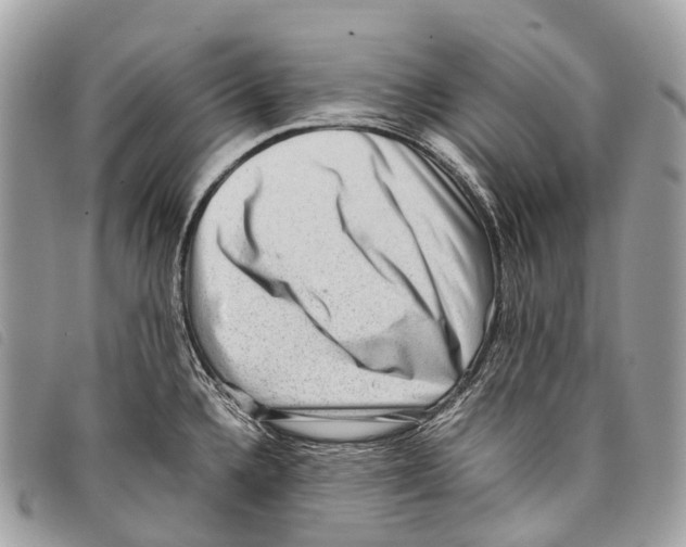 X0000097841336200804111055