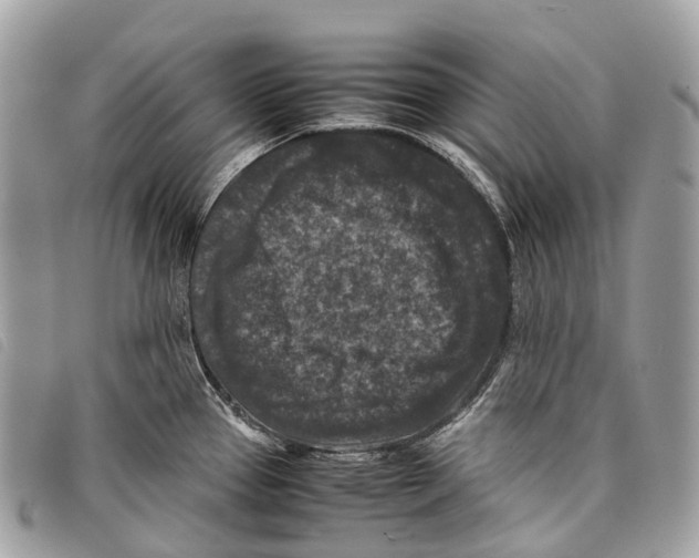 X0000097841337200804111055