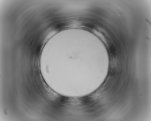 X0000097841338200804111055