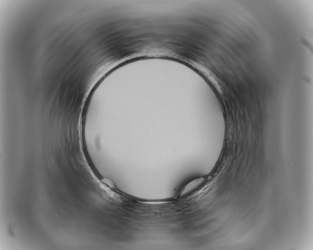 X0000097841343200804111055