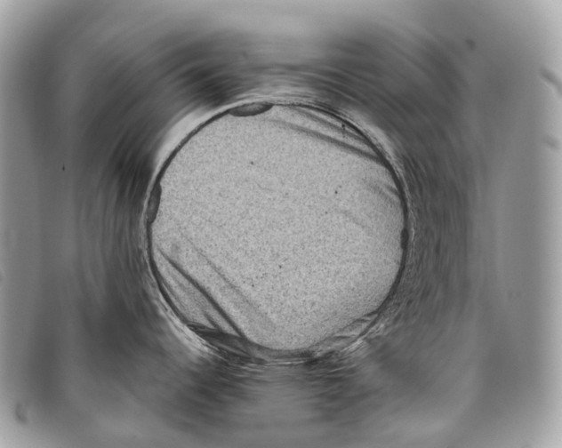 X0000097841344200804111055