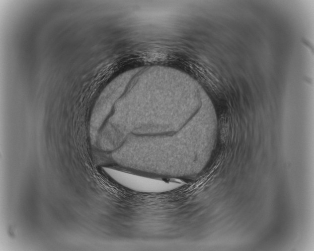 X0000097841345200804111054