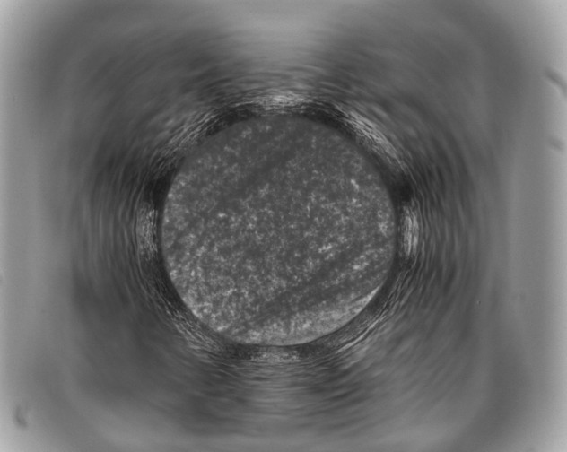 X0000097841346200804111054