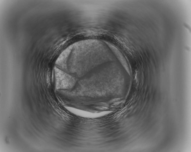 X0000097841348200804111054