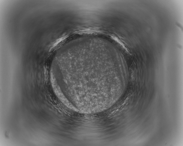 X0000097841350200804111054