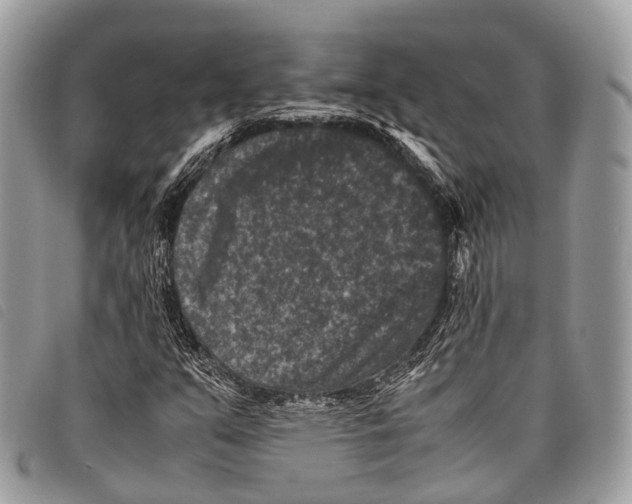 X0000097841351200804111054