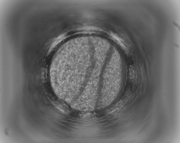 X0000097841352200804111054