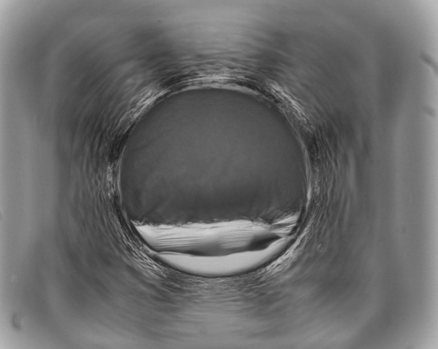 X0000097841353200804111054