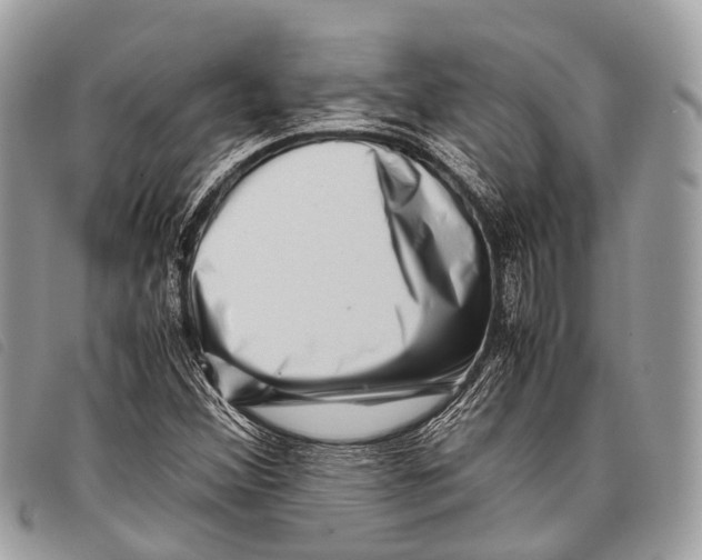 X0000097841356200804111054