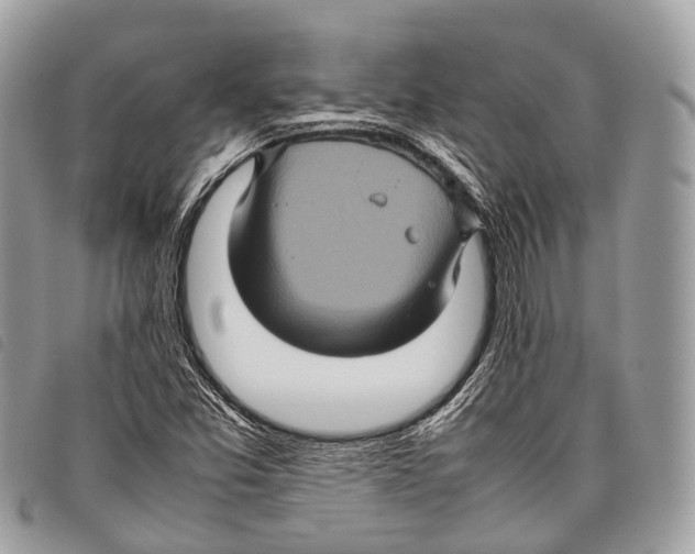 X0000097841357200804111054