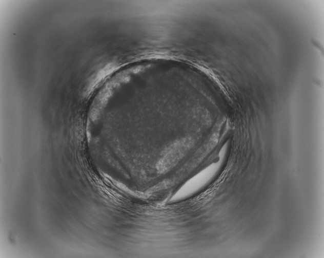 X0000097841359200804111054