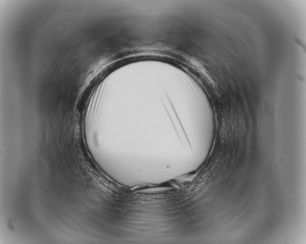 X0000097841360200804111054