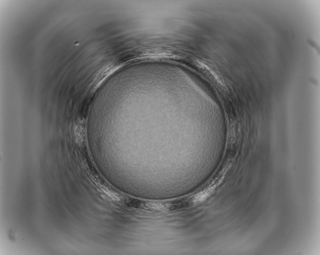 X0000097841361200804111054