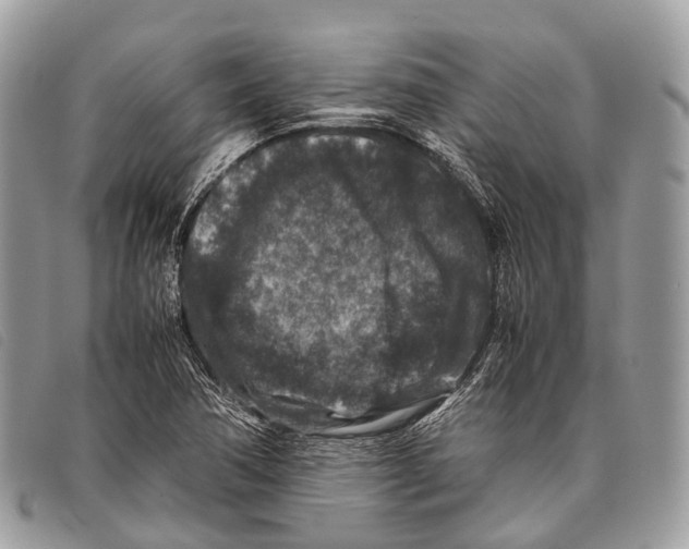 X0000097841362200804111054