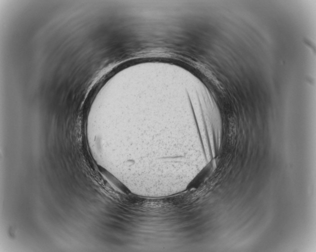 X0000097841364200804111054