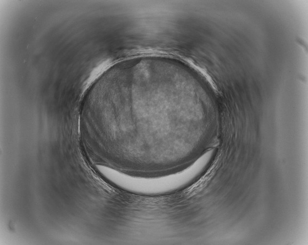 X0000097841365200804111054