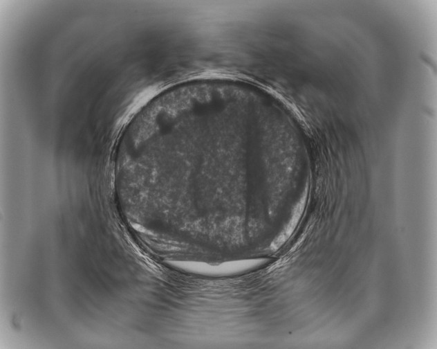X0000097841367200804111053