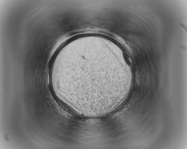 X0000097841368200804111053
