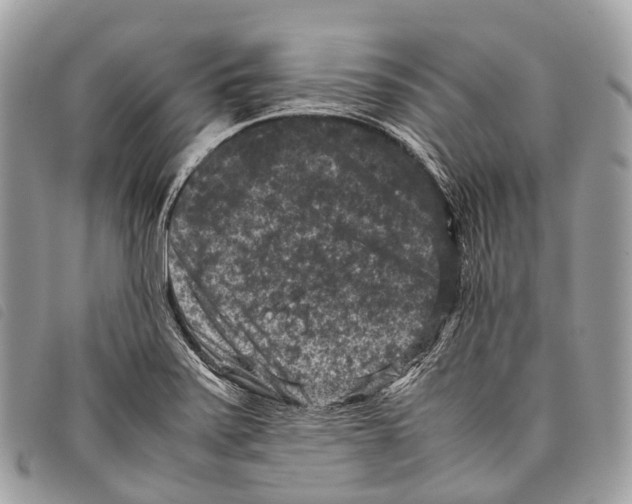 X0000097841371200804111053