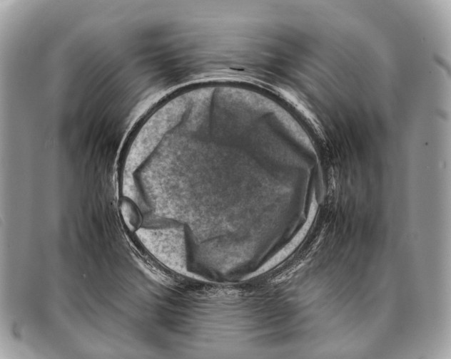 X0000097841372200804111053