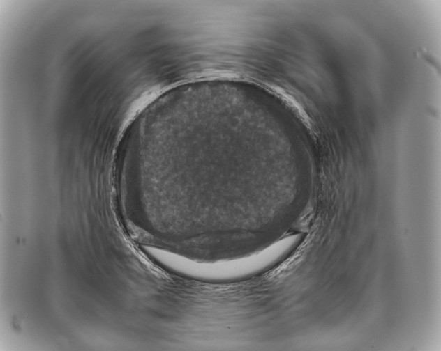 X0000097841373200804111053