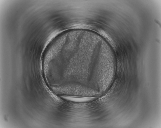 X0000097841376200804111053