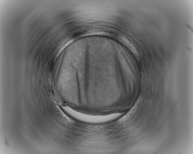 X0000097841377200804111053